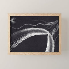 "Dolphins" by M.C. Escher Mini Art Print