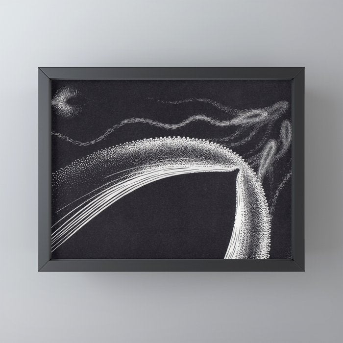 "Dolphins" by M.C. Escher Mini Art Print
