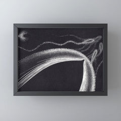 "Dolphins" by M.C. Escher Mini Art Print