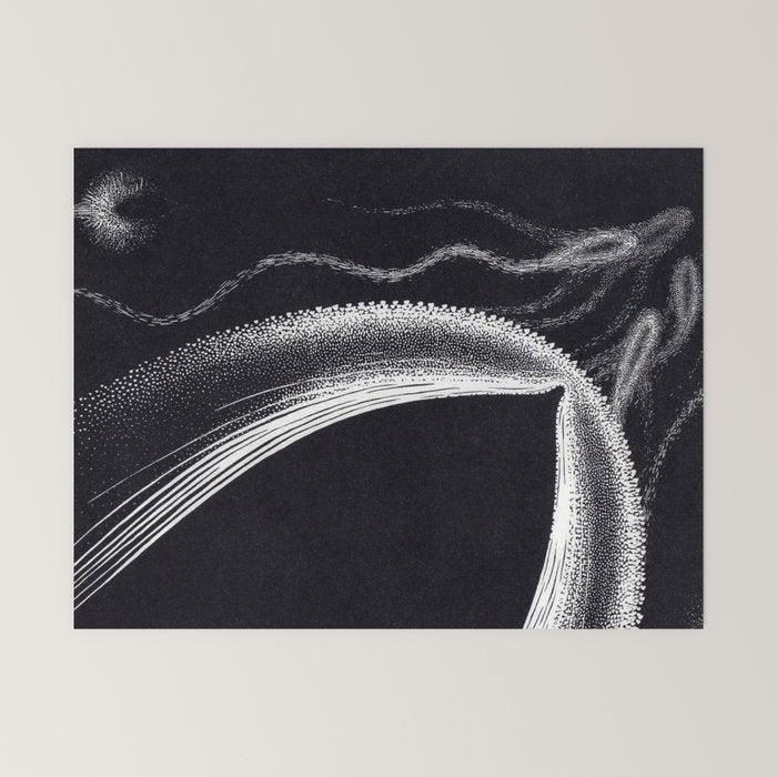 "Dolphins" by M.C. Escher Mini Art Print