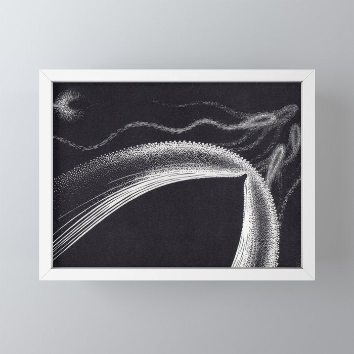 "Dolphins" by M.C. Escher Mini Art Print