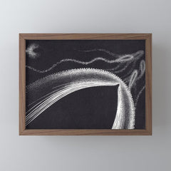 "Dolphins" by M.C. Escher Mini Art Print