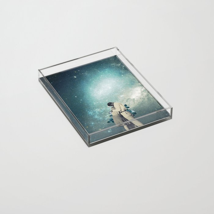 24916 Acrylic Tray