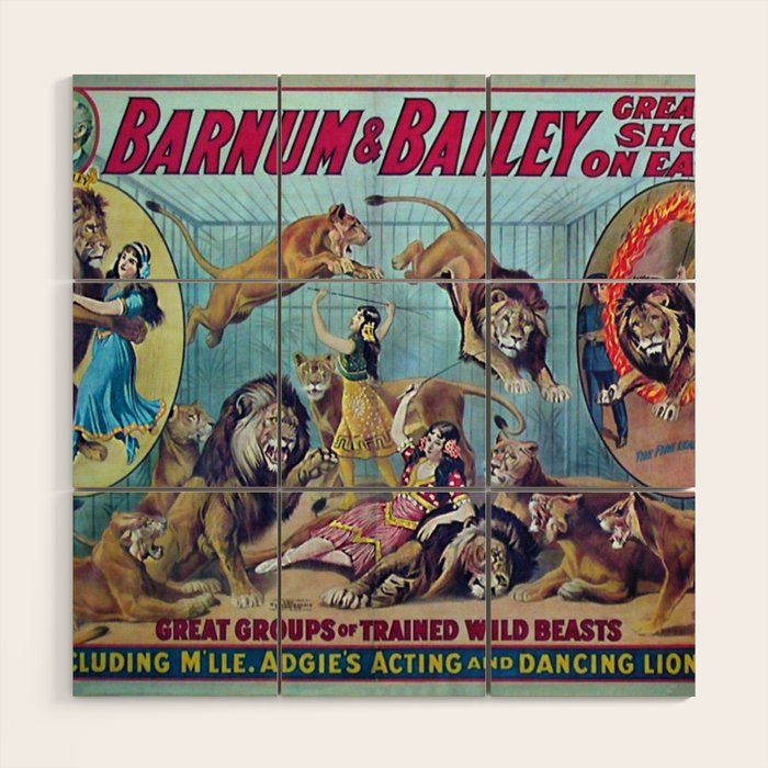 1910 Barnum & Bailey Circus Dancing Lions - M'lle Adgi's Acting Vintage Poster Wood Wall Art