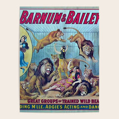 1910 Barnum & Bailey Circus Dancing Lions - M'lle Adgi's Acting Vintage Poster Poster