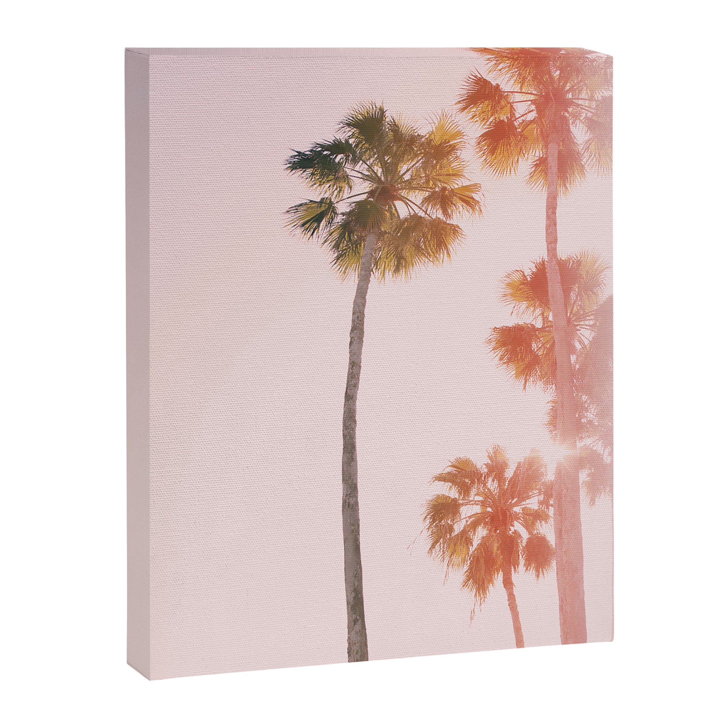 #44 Canvas Print