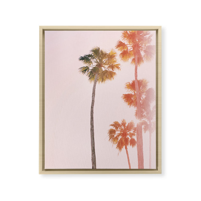 #44 Framed Canvas Print