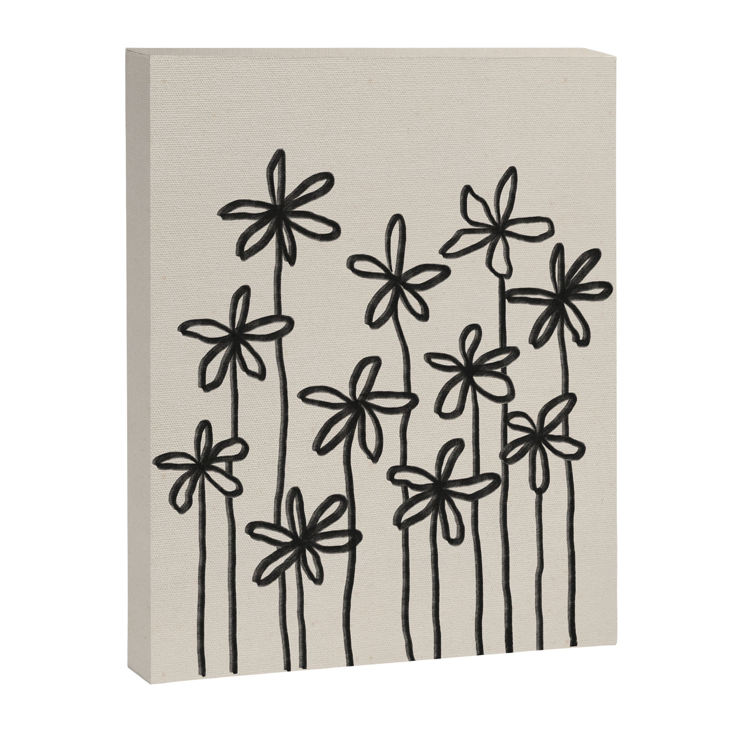 A Field Of Flowers Canvas Print