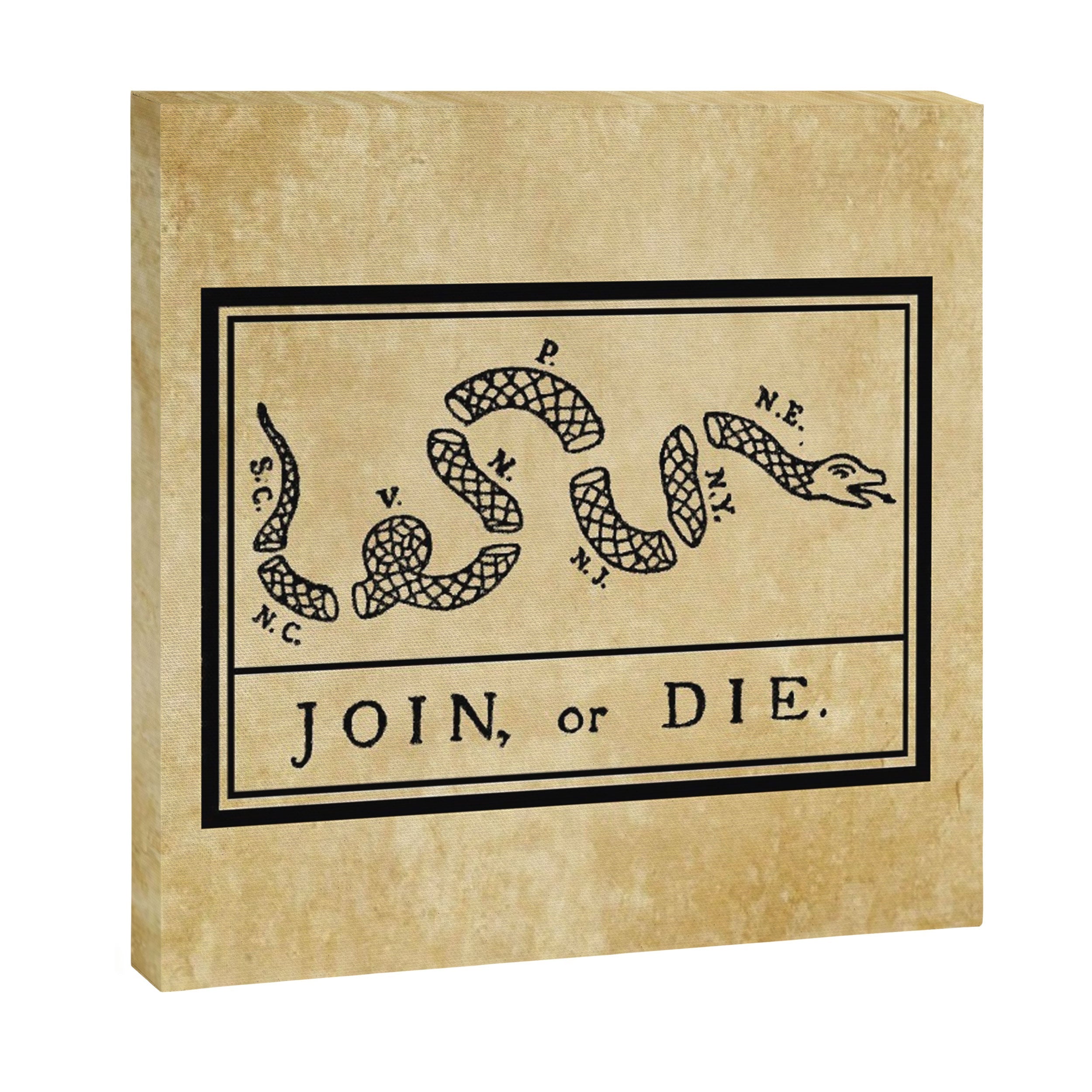 1776 "Join, or Die" Revolutionary War flag with 13 colonies, snake & no colors by Benjamin Franklin Canvas Print