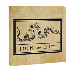 1776 "Join, or Die" Revolutionary War flag with 13 colonies, snake & no colors by Benjamin Franklin Canvas Print