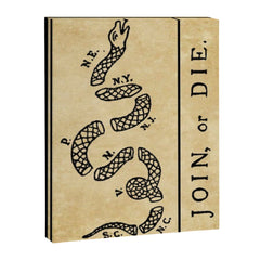 1776 "Join, or Die" Revolutionary War flag with 13 colonies, snake & no colors by Benjamin Franklin Canvas Print