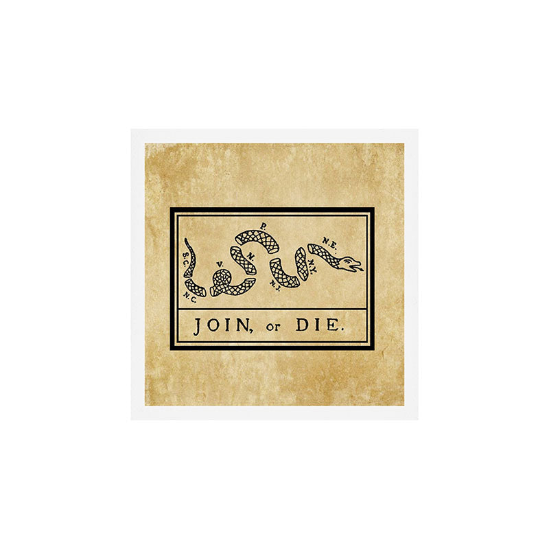 1776 "Join, or Die" Revolutionary War flag with 13 colonies, snake & no colors by Benjamin Franklin Art Print