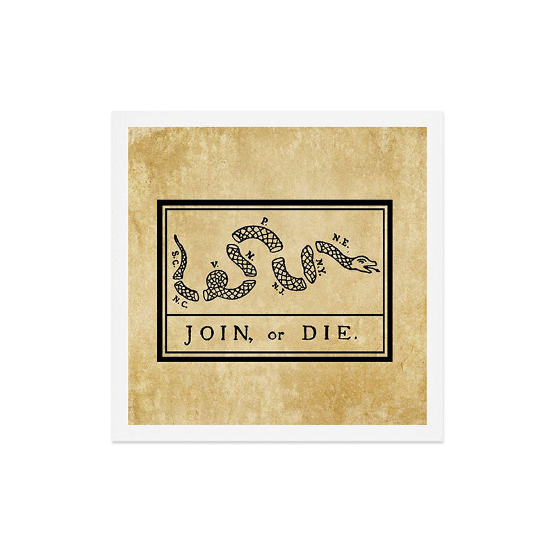 1776 "Join, or Die" Revolutionary War flag with 13 colonies, snake & no colors by Benjamin Franklin Art Print