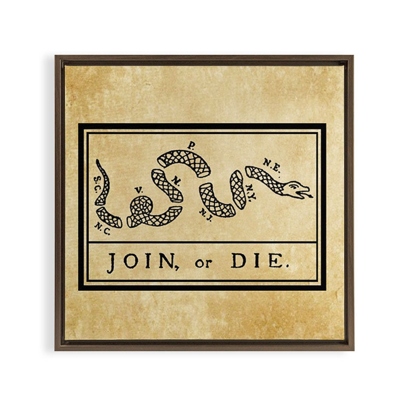 1776 "Join, or Die" Revolutionary War flag with 13 colonies, snake & no colors by Benjamin Franklin Framed Canvas Print