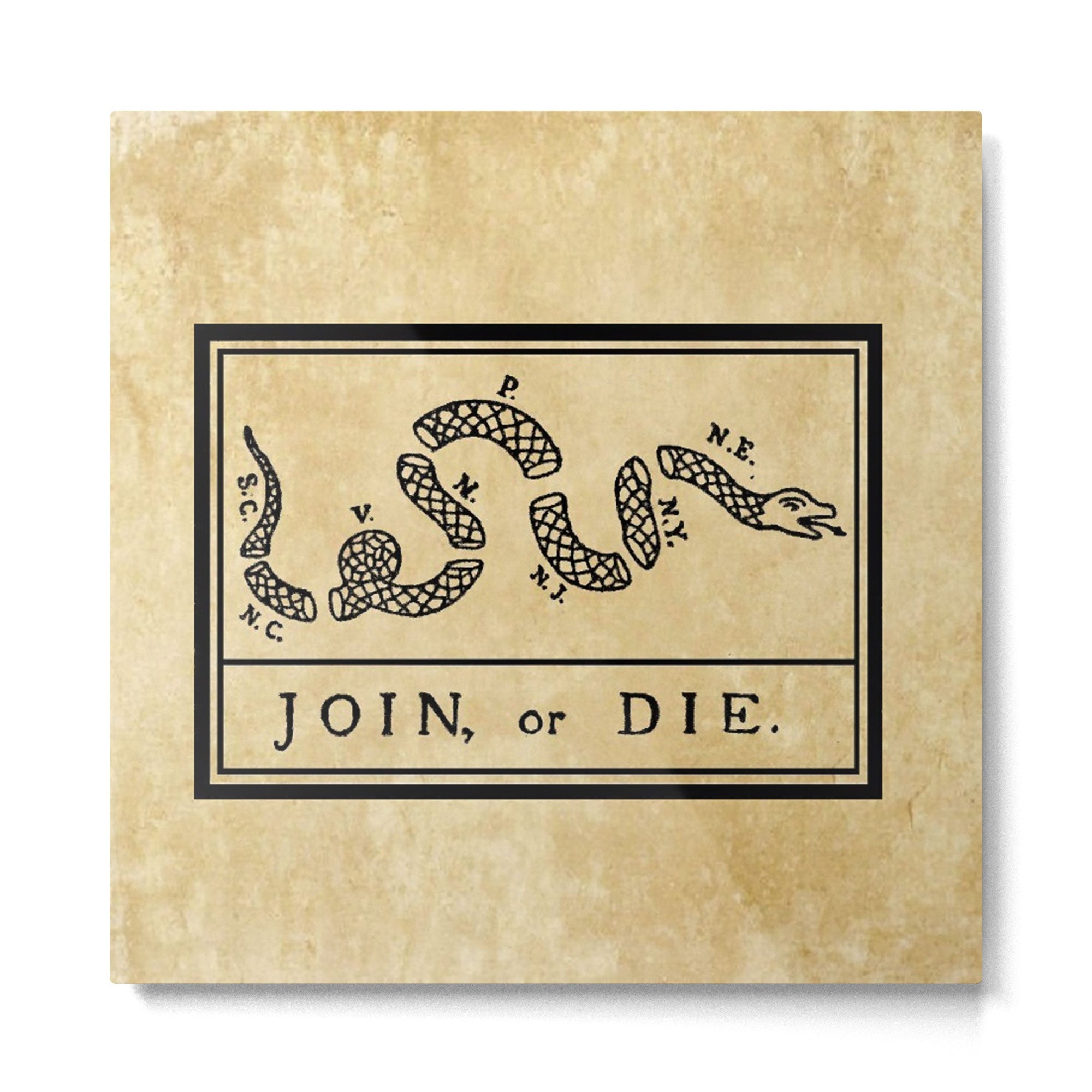 1776 "Join, or Die" Revolutionary War flag with 13 colonies, snake & no colors by Benjamin Franklin Metal Print