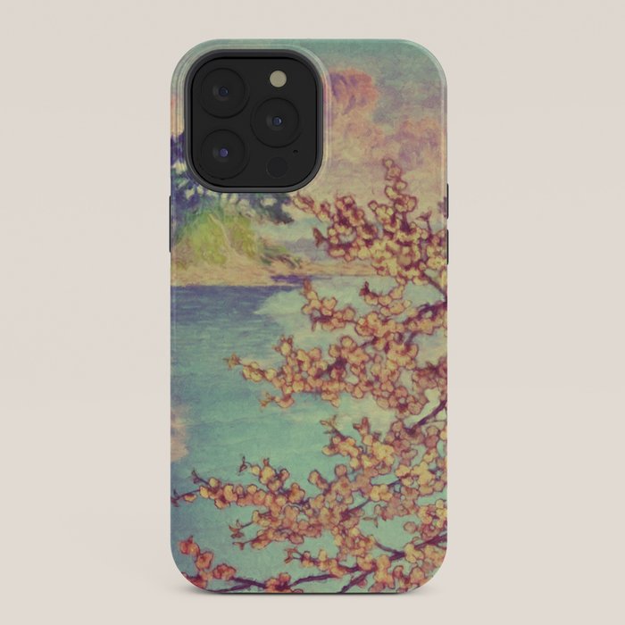 A Closer Look at Kukuyediyo (Series III of IV) - Nature Landscape iPhone Case