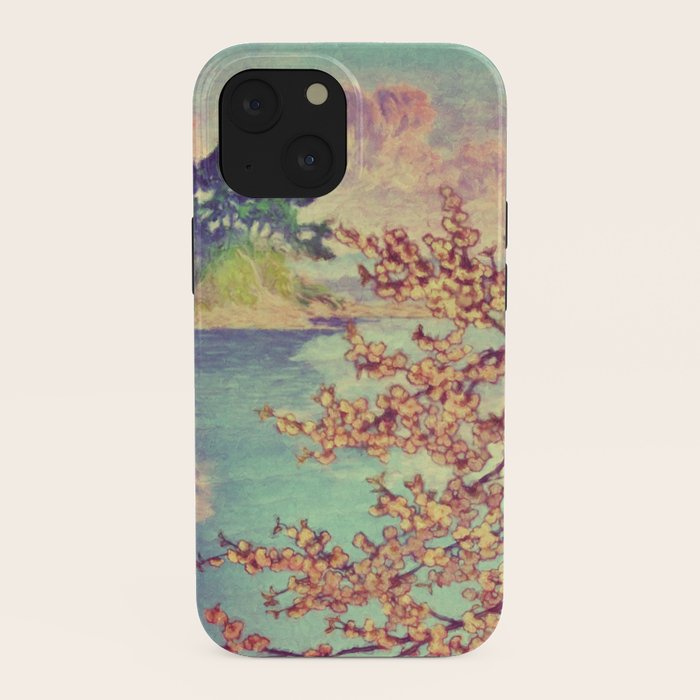 A Closer Look at Kukuyediyo (Series III of IV) - Nature Landscape iPhone Case