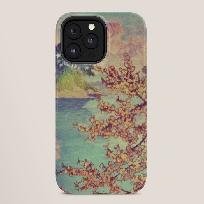 A Closer Look at Kukuyediyo (Series III of IV) - Nature Landscape iPhone Case