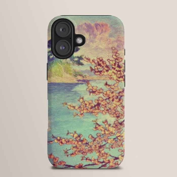 A Closer Look at Kukuyediyo (Series III of IV) - Nature Landscape iPhone Case