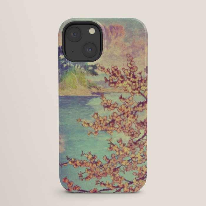 A Closer Look at Kukuyediyo (Series III of IV) - Nature Landscape iPhone Case