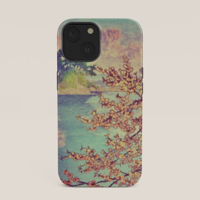 A Closer Look at Kukuyediyo (Series III of IV) - Nature Landscape iPhone Case