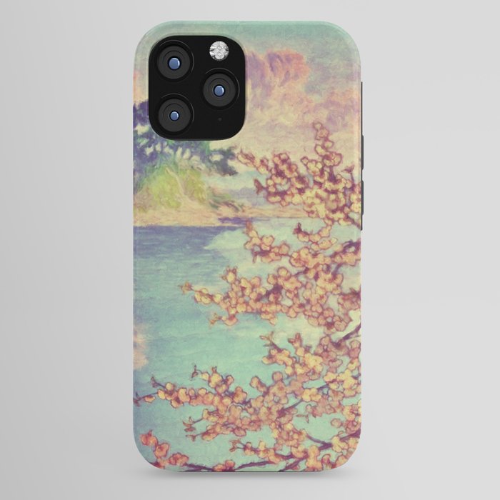 A Closer Look at Kukuyediyo (Series III of IV) - Nature Landscape iPhone Case