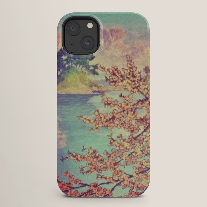 A Closer Look at Kukuyediyo (Series III of IV) - Nature Landscape iPhone Case