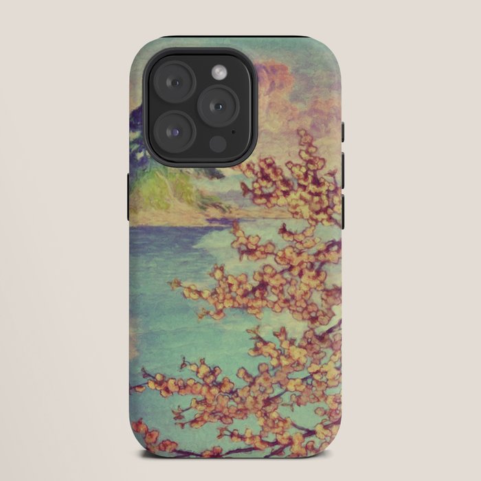 A Closer Look at Kukuyediyo (Series III of IV) - Nature Landscape iPhone Case
