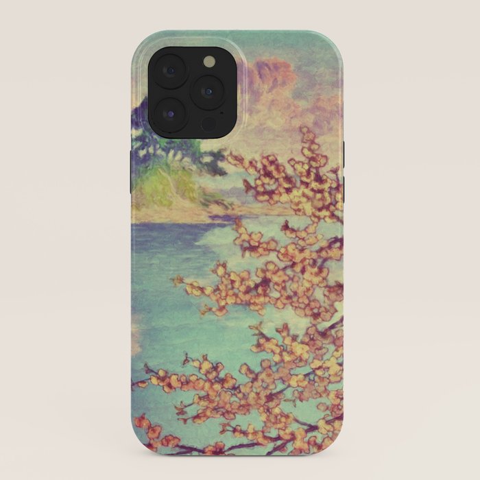 A Closer Look at Kukuyediyo (Series III of IV) - Nature Landscape iPhone Case