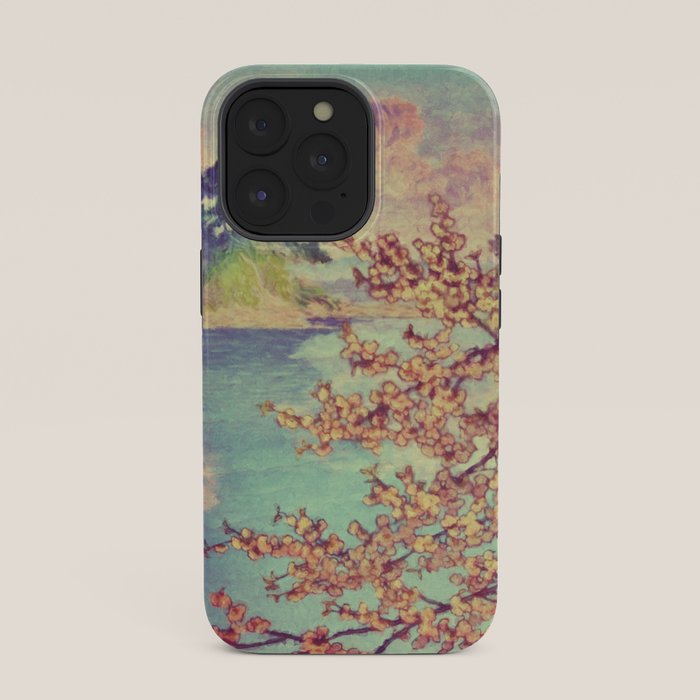 A Closer Look at Kukuyediyo (Series III of IV) - Nature Landscape iPhone Case