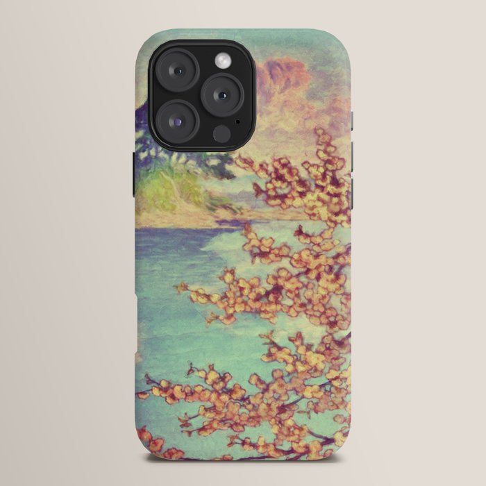 A Closer Look at Kukuyediyo (Series III of IV) - Nature Landscape iPhone Case