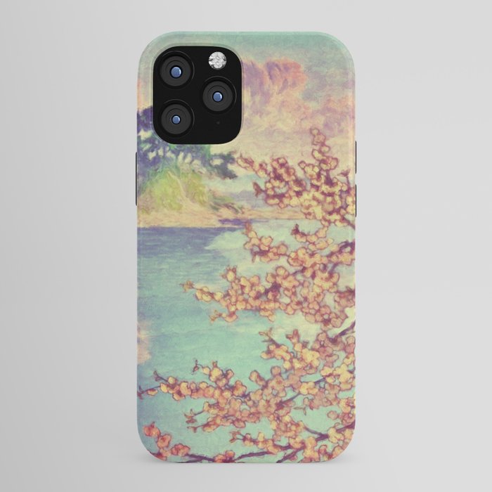 A Closer Look at Kukuyediyo (Series III of IV) - Nature Landscape iPhone Case