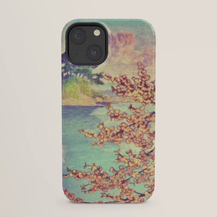 A Closer Look at Kukuyediyo (Series III of IV) - Nature Landscape iPhone Case