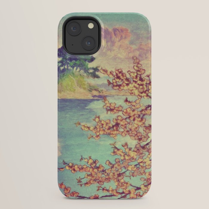 A Closer Look at Kukuyediyo (Series III of IV) - Nature Landscape iPhone Case