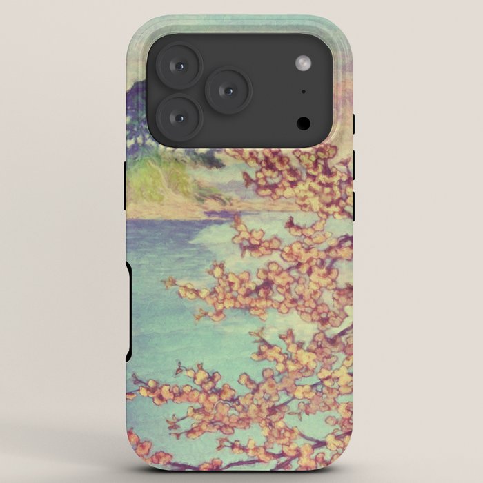 A Closer Look at Kukuyediyo (Series III of IV) - Nature Landscape iPhone Case