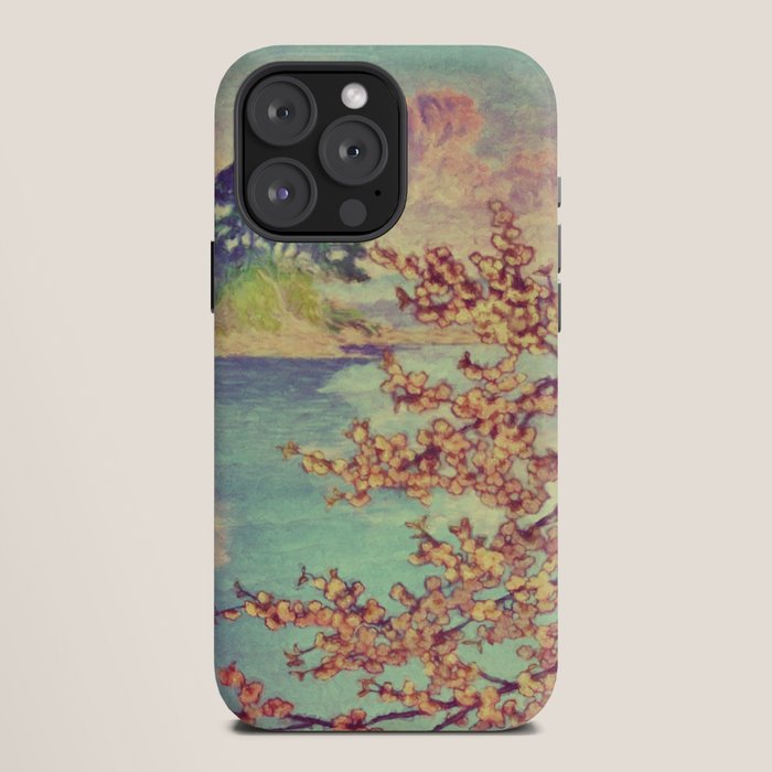 A Closer Look at Kukuyediyo (Series III of IV) - Nature Landscape iPhone Case