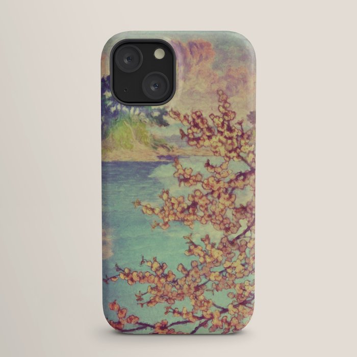 A Closer Look at Kukuyediyo (Series III of IV) - Nature Landscape iPhone Case