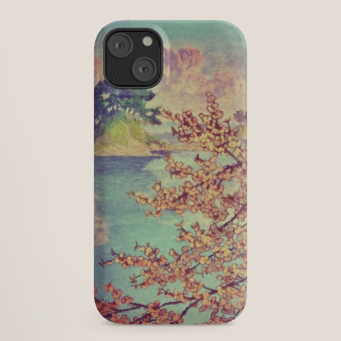 A Closer Look at Kukuyediyo (Series III of IV) - Nature Landscape iPhone Case