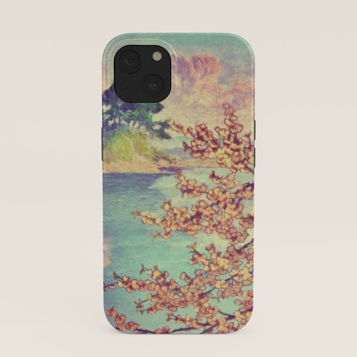 A Closer Look at Kukuyediyo (Series III of IV) - Nature Landscape iPhone Case