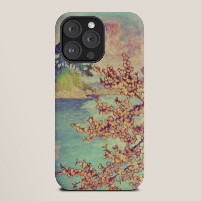 A Closer Look at Kukuyediyo (Series III of IV) - Nature Landscape iPhone Case