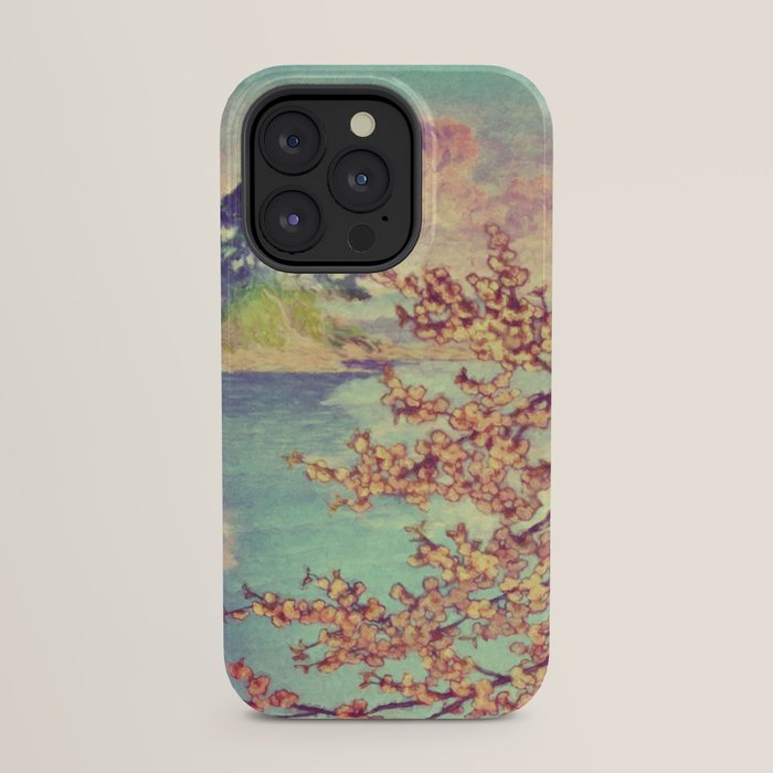 A Closer Look at Kukuyediyo (Series III of IV) - Nature Landscape iPhone Case