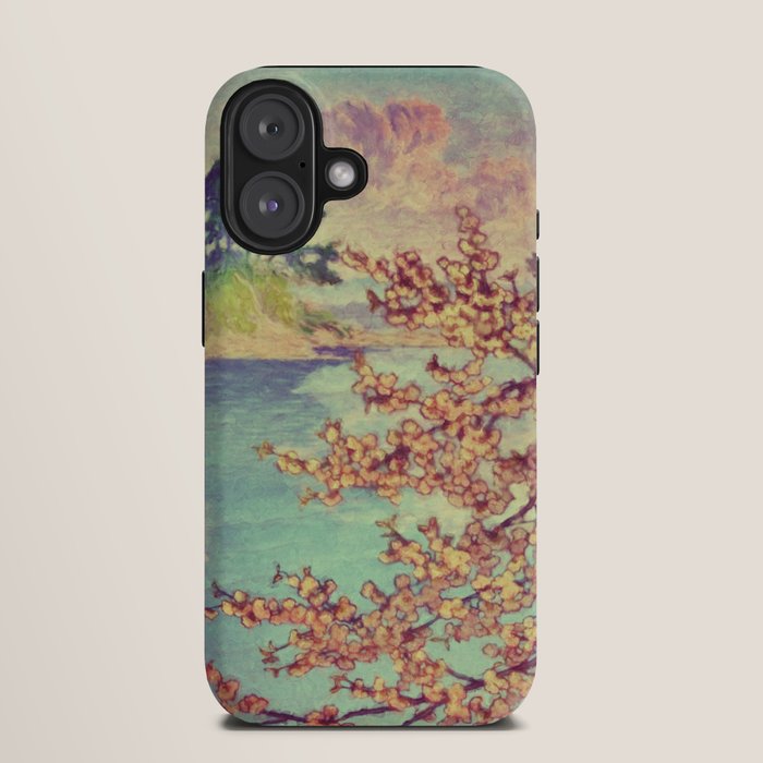 A Closer Look at Kukuyediyo (Series III of IV) - Nature Landscape iPhone Case