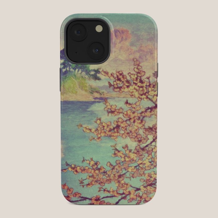 A Closer Look at Kukuyediyo (Series III of IV) - Nature Landscape iPhone Case