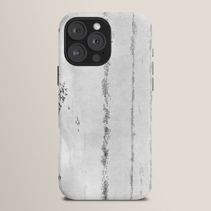 "The Later Flights of the Passenger Pigeon" by Frank Bond, 1920 (benefitting The Nature Conservancy) iPhone Case