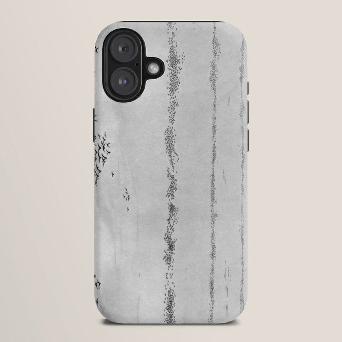 "The Later Flights of the Passenger Pigeon" by Frank Bond, 1920 (benefitting The Nature Conservancy) iPhone Case