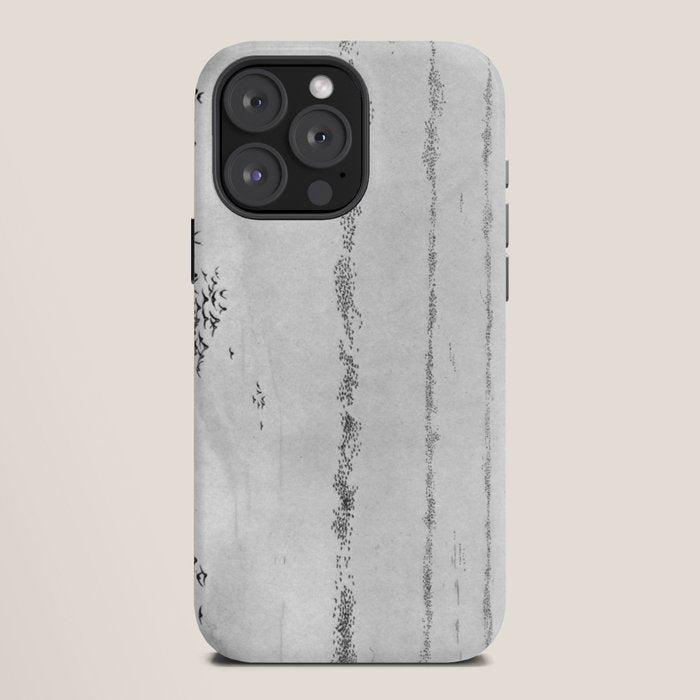 "The Later Flights of the Passenger Pigeon" by Frank Bond, 1920 (benefitting The Nature Conservancy) iPhone Case