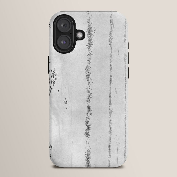 "The Later Flights of the Passenger Pigeon" by Frank Bond, 1920 (benefitting The Nature Conservancy) iPhone Case