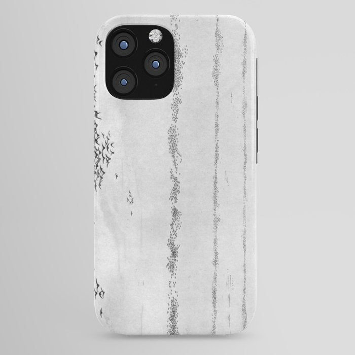 "The Later Flights of the Passenger Pigeon" by Frank Bond, 1920 (benefitting The Nature Conservancy) iPhone Case
