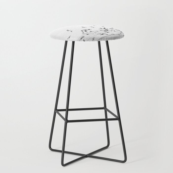 "Seagulls" | Coastal black and white photo | Film photography | Beach Stool