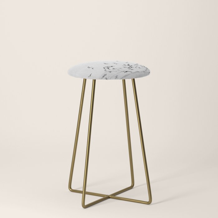 "Seagulls" | Coastal black and white photo | Film photography | Beach Stool